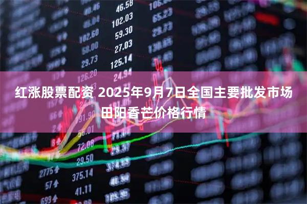 红涨股票配资 2025年9月7日全国主要批发市场田阳香芒价格行情