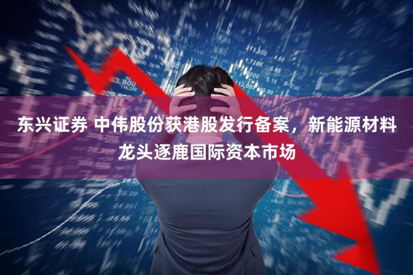 东兴证券 中伟股份获港股发行备案，新能源材料龙头逐鹿国际资本市场