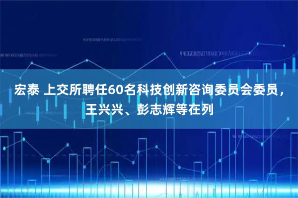 宏泰 上交所聘任60名科技创新咨询委员会委员，王兴兴、彭志辉等在列