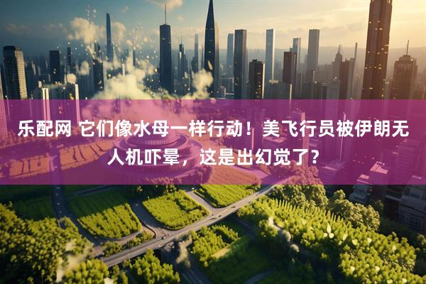 乐配网 它们像水母一样行动！美飞行员被伊朗无人机吓晕，这是出幻觉了？